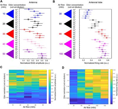 Experimental and theoretical probe on mechano- and chemosensory integration in the insect antennal lobe